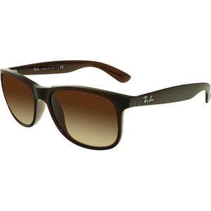 Ray-Ban RB4202 6073/13 Слънчеви очила