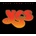 YES - OPEN YOUR EYES CD