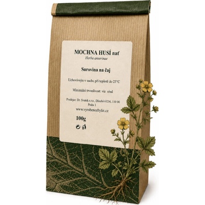 Dr. Svatek Mochna husí nať 100 g