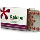 Voľne predajné lieky Kaloba 20 mg filmom obalené tablety tbl.flm. 21 x 20 mg
