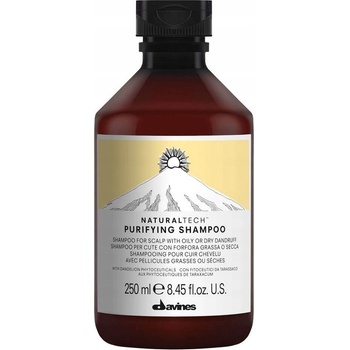 Davines Naturaltech Purifying Shampoo 250 ml