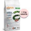 Alleva Holistic Adult Medium / Maxi Lamb and Venison 12 kg