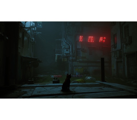 Stray