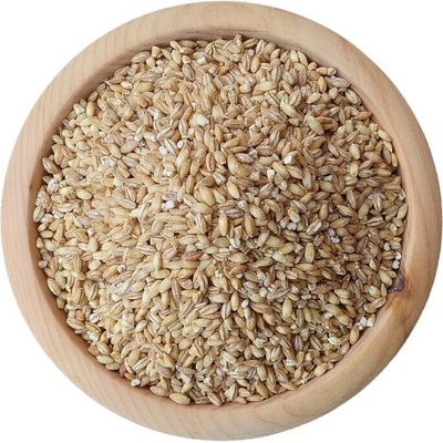 Dobrio Ječmen nahý BIO na váhu 1 kg