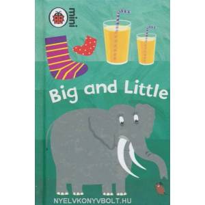 Early Learning: Big and Little (ISBN: 9781409301783)