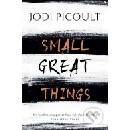 Small Great Things - Jodi Picoult