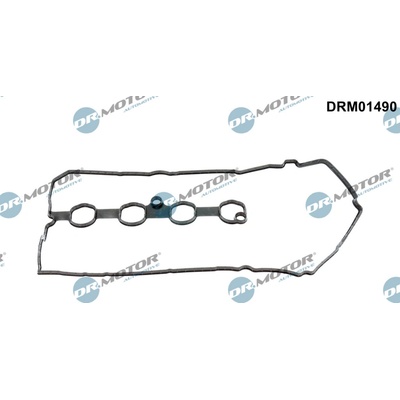 DR.MOTOR AUTOMOTIVE Tesnenie veka hlavy valcov DRM01490