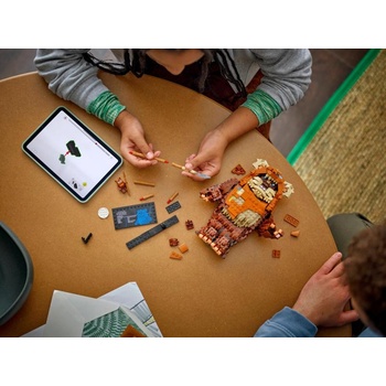 Image 1 of LEGO® Star Wars™ - Wicket the Ewok (75430)