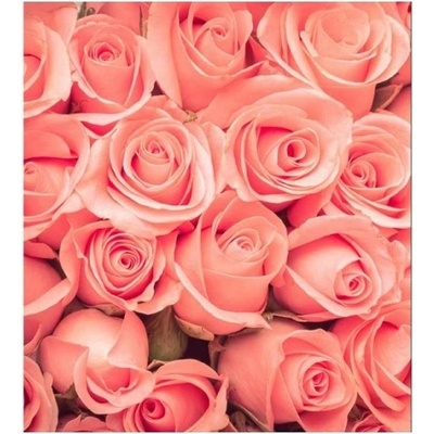 DIMEX ART Флизелинов фототапет роза 225 x 250 см