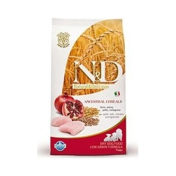 N&D Grain Free DOG Puppy Large Chicken & Pomegranate 2,5 kg