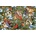 Cobble Hill - Puzzle The Crowded Tree - 2 000 piese