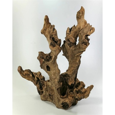 Orbit kořen Barico L 30-45 cm