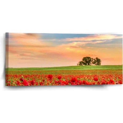 Sablio Obraz Pole vlčích máků 2 - 110x50 cm