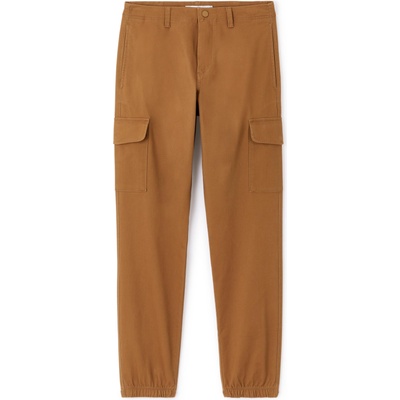 CELIO DOLYTE 36