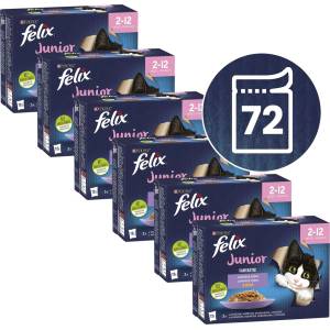 FELIX Fantastic Junior вкусен избор 72 x 85 г
