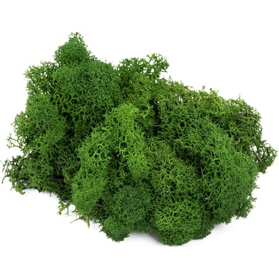 Lišejník (Balení 500g)
