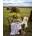 Norimpex - Puzzle Diamant painting: Breakfast in the field 30x40cm - 1 - 39 piese