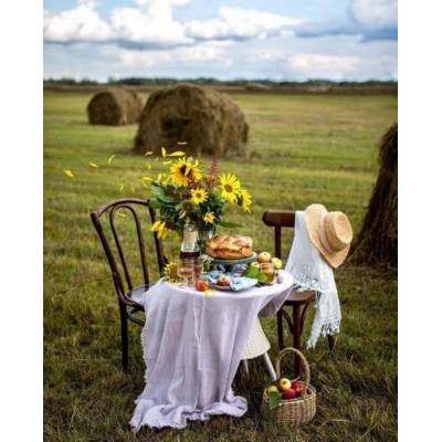 Norimpex - Puzzle Diamant painting: Breakfast in the field 30x40cm - 1 - 39 piese