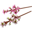 Image 1 of LEGO® Cherry Blossoms (40725)