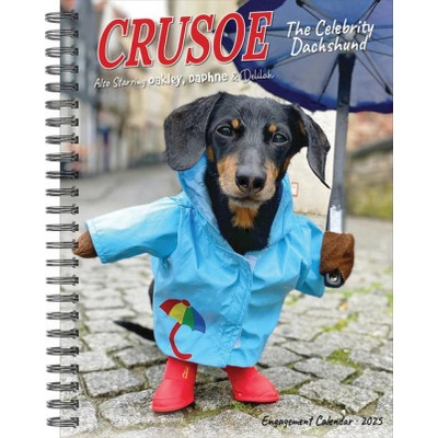 Willow Creek Press Calendars Crusoe the Celebrity Dachshund 2026 6.5 X 8.5 Engagement Calendar