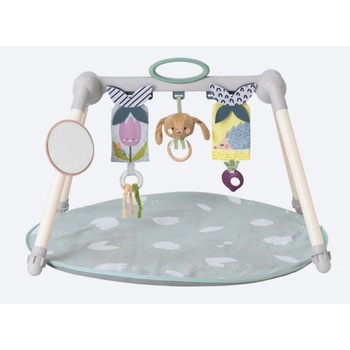Taf Toys Активна гимнастика Taf Toys - Зайчето Джени и приятели (TT13075)