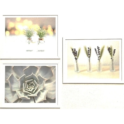 Bondecor Sada obrazů Succulent 42 x 98 cm