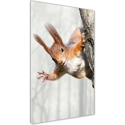 Vertikálny fotoobraz na skle Veverička na strome 50x100 cm