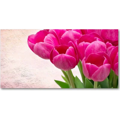 Foto-obraz fotografie na skle ružové tulipány 100x50 cm