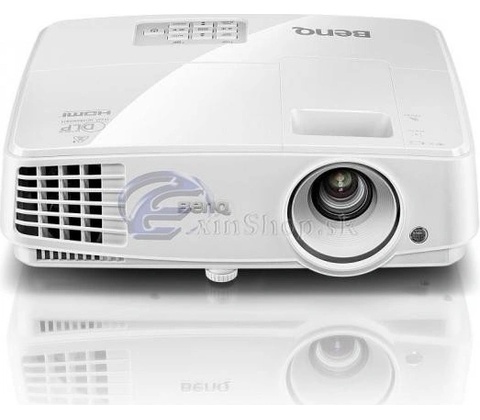 BenQ MS527