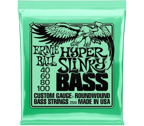 Ernie Ball 2841
