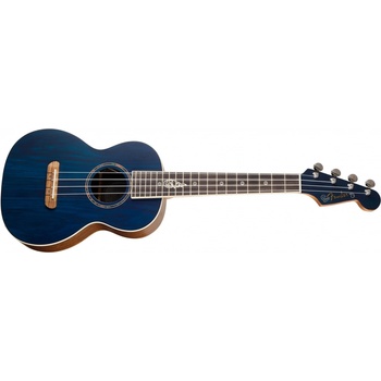 Fender Dhani Harrison