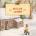 Sugar Snow | Laura Ingalls Wilder, Doris Ettlinger