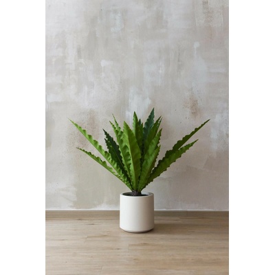 Umelé papradie ASPLENA, plast, výška 90 cm, zelená