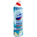 Domestos Power Fresh Total Hygiene Ocean Fresh dezinfekčný Wc gél 700 ml