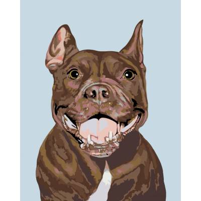 zuty Malování podle čísel Pitbull 80 x 100 cm vypnuté plátno na rám