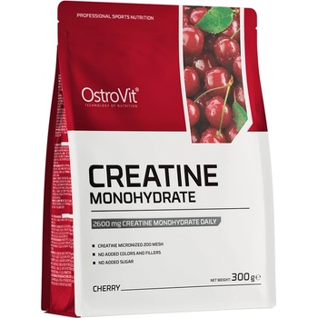 OstroVit Creatine Monohydrate Flavor, 300 Grams
