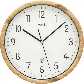 AMS 5576