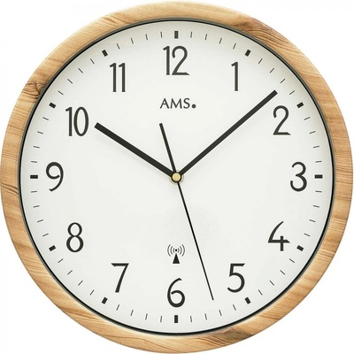 AMS 5576