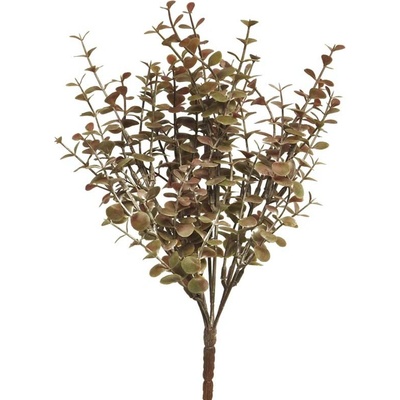 Blahovičník - Eukalyptus keř mauve/hnědý V34 cm