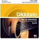 DAddario EJ14