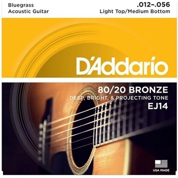 DAddario EJ14