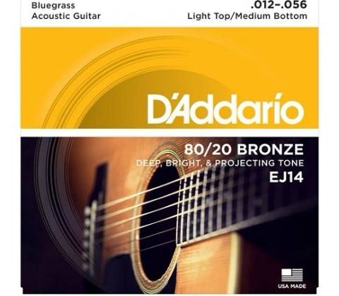 DAddario EJ14