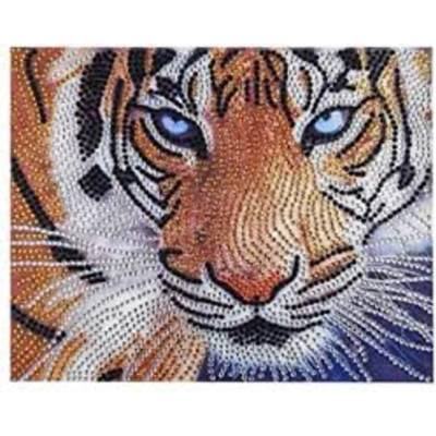 Очите на тигъра 24/19 см