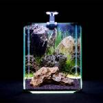 Diversa NEOlight SET 20