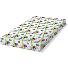 Pro-Design 25381