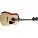 Cort Earth Pack