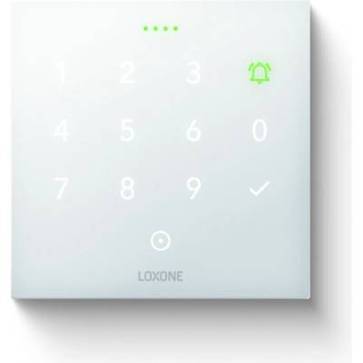 Loxone LOX100481