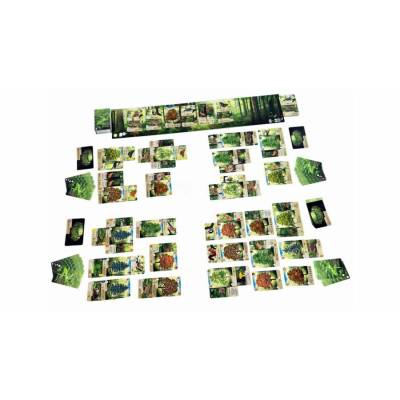 Gémklub Настолна игра „Гората 2-5 играчи (ASM34683)