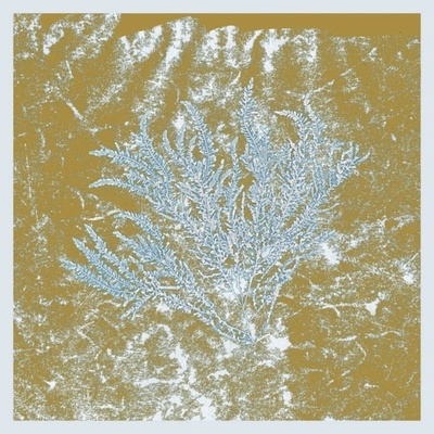 Huerco S. - For Those Of You Who Have Never 2 LP