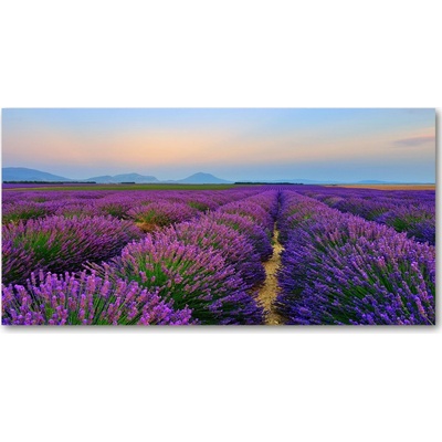 Fotoobraz na skle pole levanduľa 100x50 cm